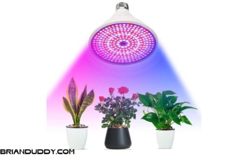 Đèn led quang phổ toàn phần trồng cây