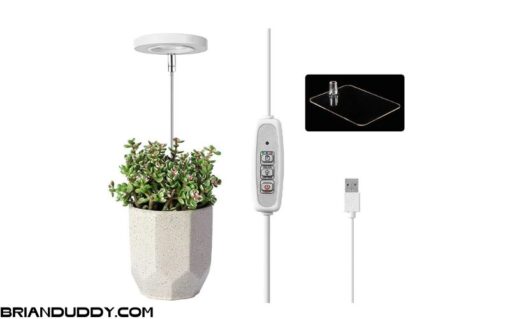 Đèn led 60cm trồng cây trong nhà