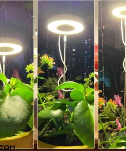 Đèn LED trồng cây toàn phổ