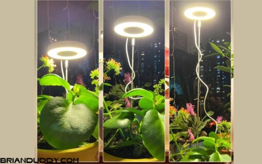 Đèn LED trồng cây toàn phổ