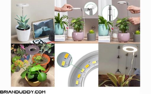 Đèn LED trồng cây toàn phổ